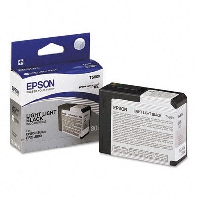 Epson Tintenpatrone T5809 Light Light Black für Pro 3800