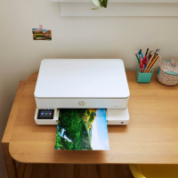 イーブイ HP50 & エンテイ HP80 セット 714L8B-HP-Envy-6120e-All-in-